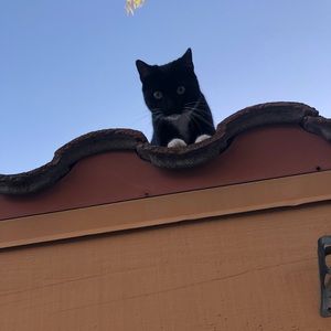 Meet your Posher, Tammy